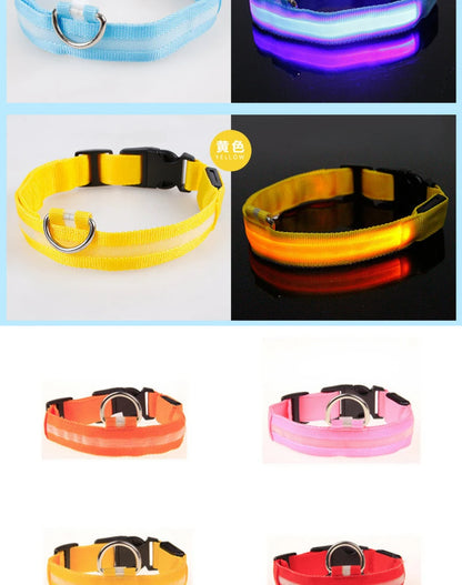 LED Luminous Dog Collar – Adjustable Glow Safety Collar for Night Walks