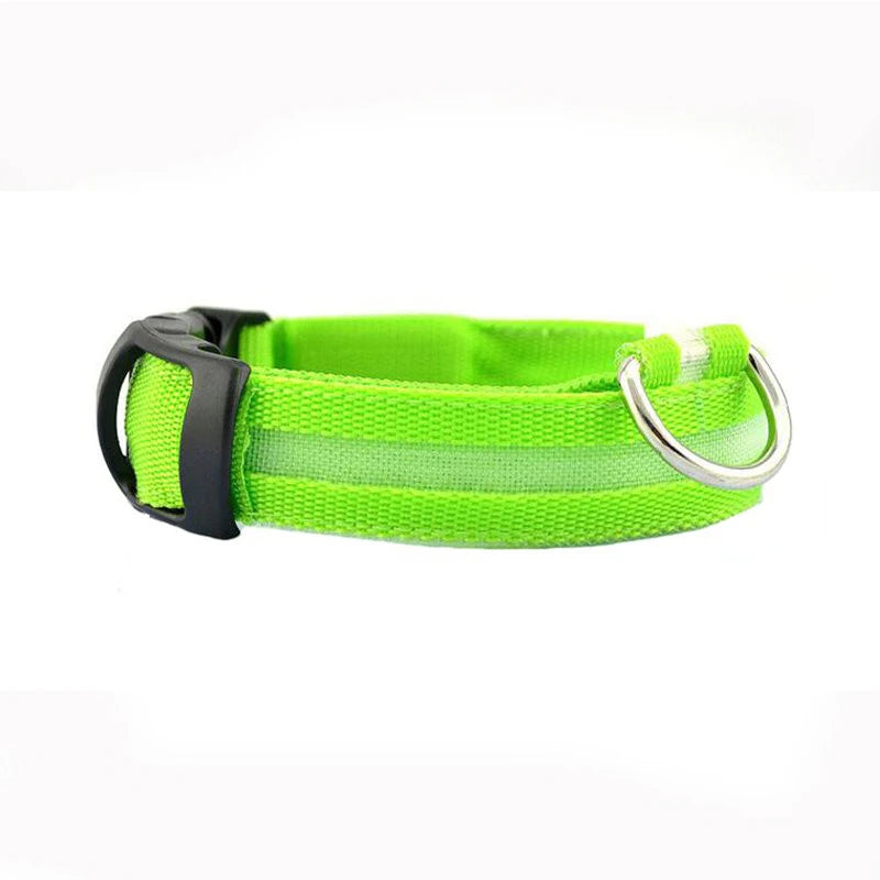 LED Luminous Dog Collar – Adjustable Glow Safety Collar for Night Walks