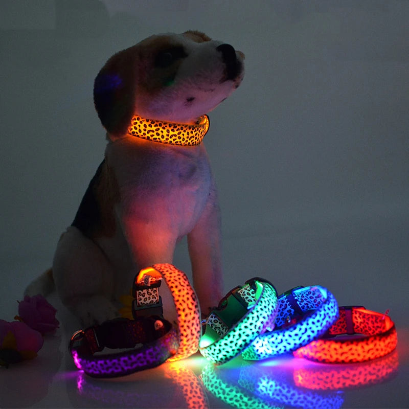 LED Luminous Dog Collar – Adjustable Glow Safety Collar for Night Walks