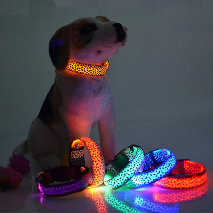 LED Luminous Dog Collar – Adjustable Glow Safety Collar for Night Walks