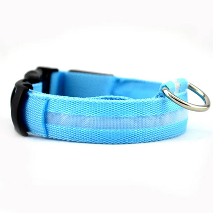 LED Luminous Dog Collar – Adjustable Glow Safety Collar for Night Walks