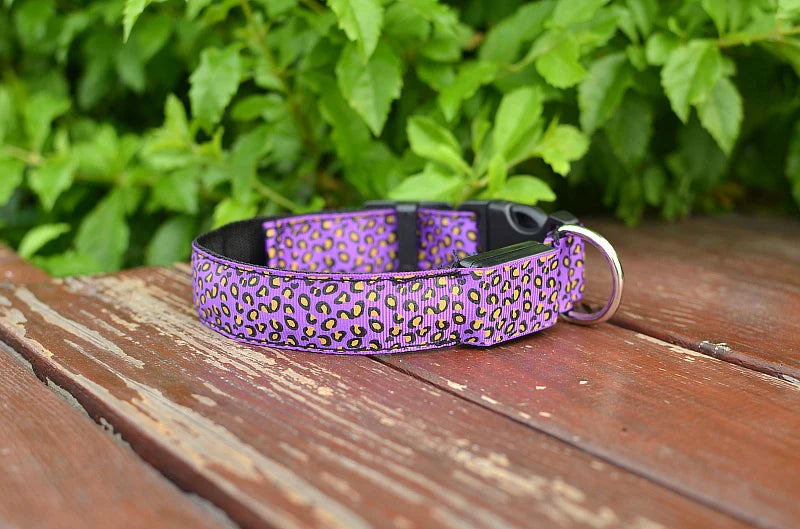 LED Luminous Dog Collar – Adjustable Glow Safety Collar for Night Walks