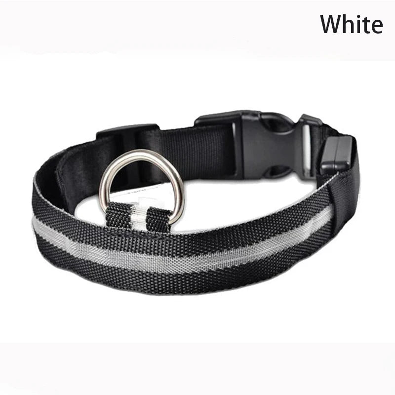 LED Luminous Dog Collar – Adjustable Glow Safety Collar for Night Walks