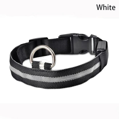 LED Luminous Dog Collar – Adjustable Glow Safety Collar for Night Walks