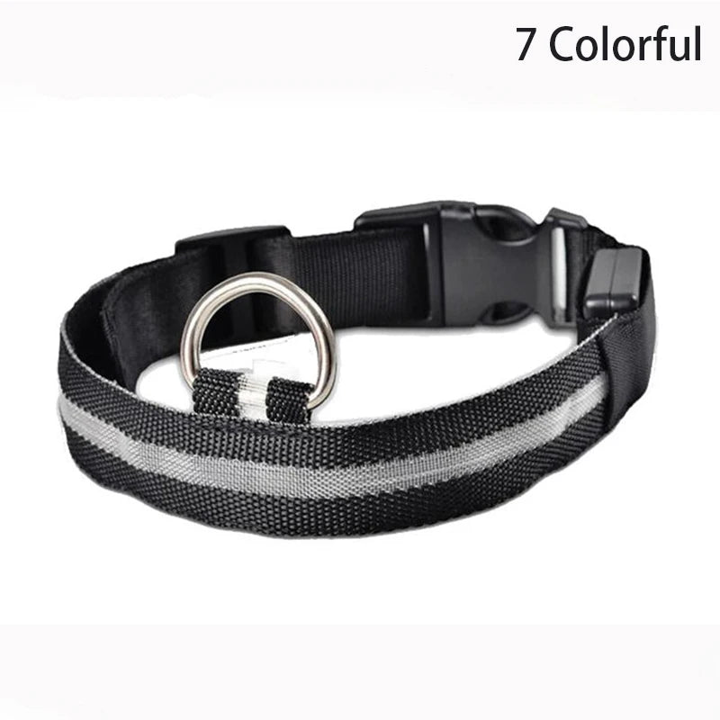 LED Luminous Dog Collar – Adjustable Glow Safety Collar for Night Walks