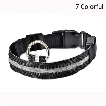 LED Luminous Dog Collar – Adjustable Glow Safety Collar for Night Walks