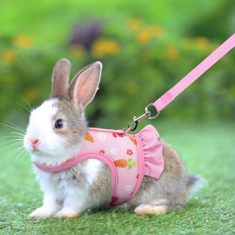 Cute Adjustable Rabbit Harness & Leash Set