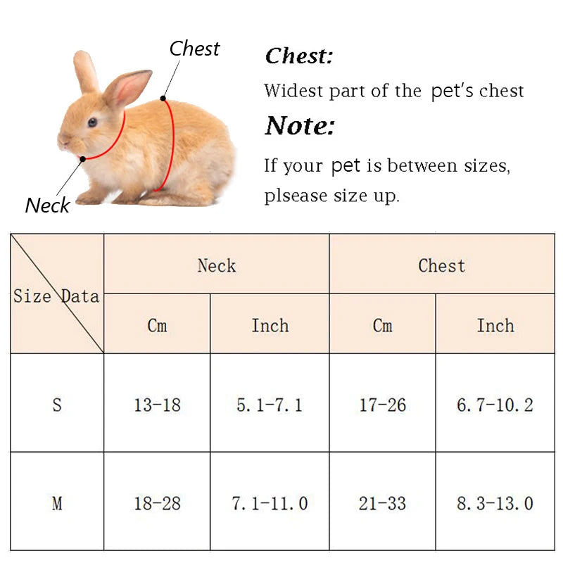 Cartoon Rabbit Harness Set