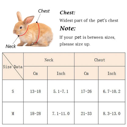 Cartoon Rabbit Harness Set