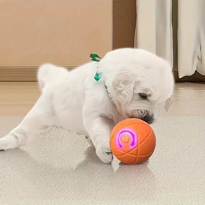 Interactive Rolling Ball Toy for Dogs & Cats