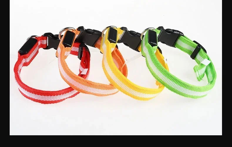 LED Night Safety Dog Collar