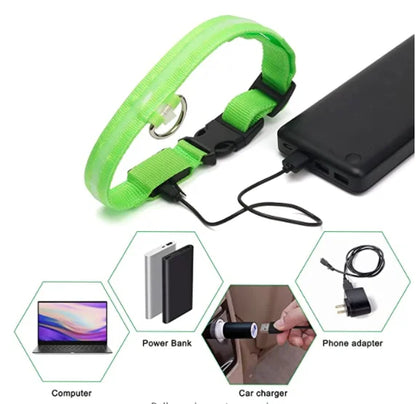 USB Rechargeable LED Dog Collar with Detachable Pendant – Luminous Safety Collar for Dogs & Cats