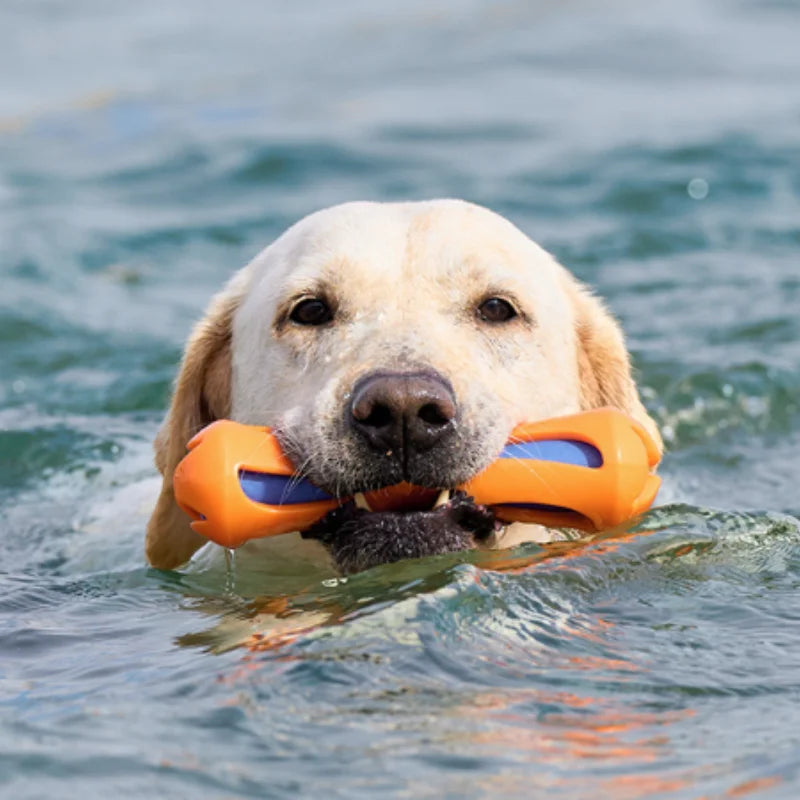 Floating Dog Water Stick Toy