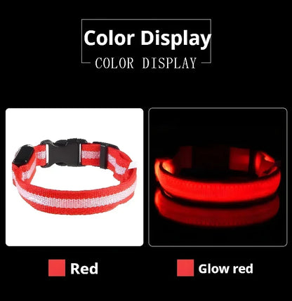 LED Night Safety Dog Collar