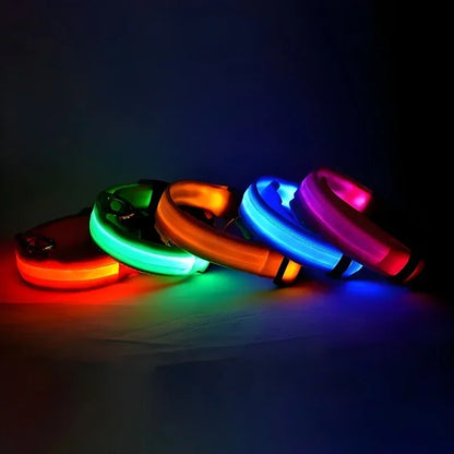 LED Night Safety Dog Collar