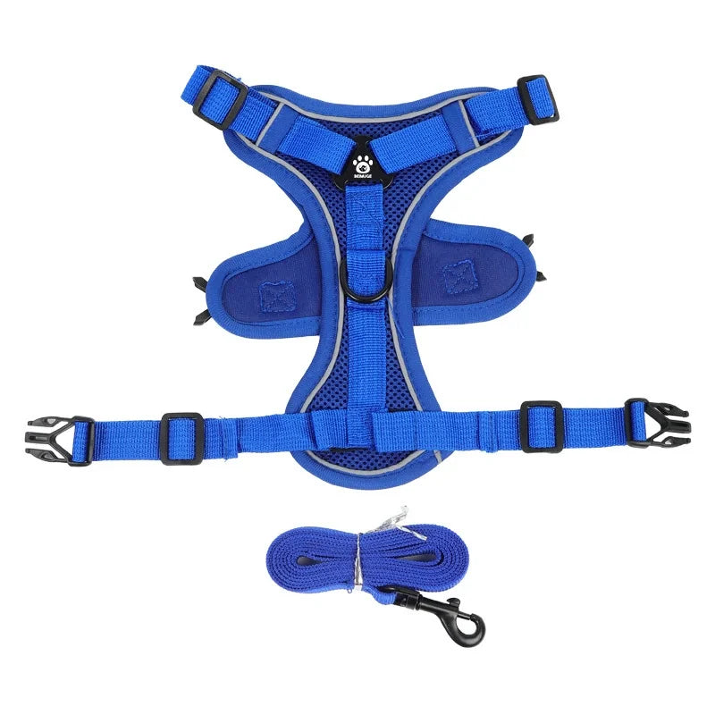 Dog Harness & Leash Set