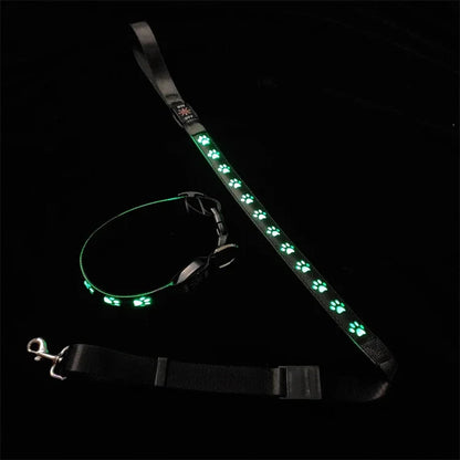 LED Light-Up Dog Collar & Leash Set