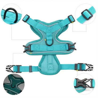 Dog Harness & Leash Set