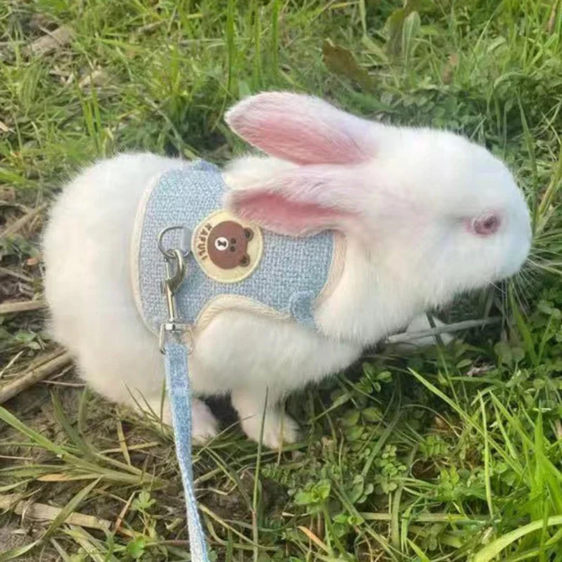 Cute Handmade Rabbit Harness Set