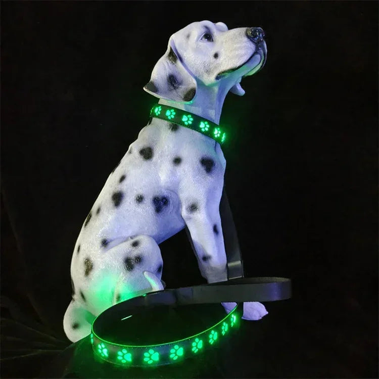 LED Light-Up Dog Collar & Leash Set