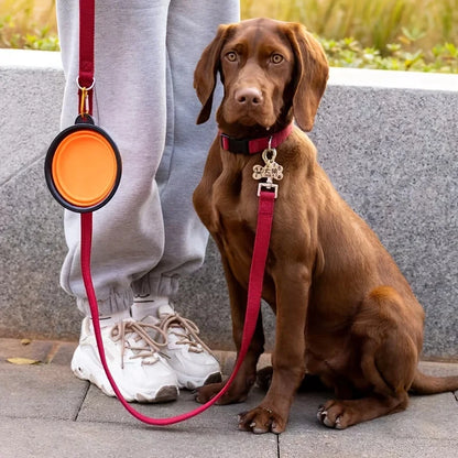 Portable Foldable Pet Food & Water Bowl