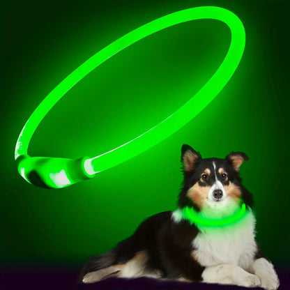 USB Rechargeable LED Dog Collar