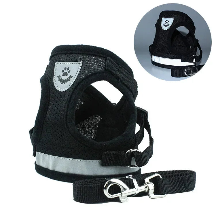 Reflective Cat & Small Dog Harness Set