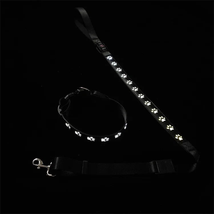 LED Light-Up Dog Collar & Leash Set