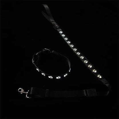 LED Light-Up Dog Collar & Leash Set