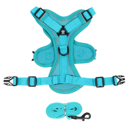 Dog Harness & Leash Set