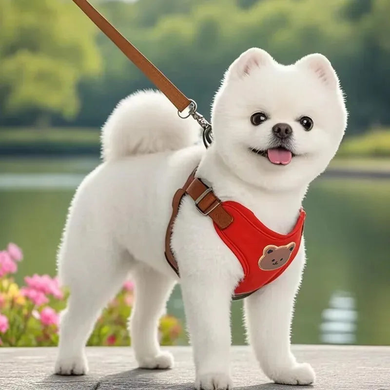 Adjustable Reflective Pet Harness & Leash Set