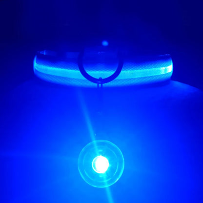 USB Rechargeable LED Dog Collar with Detachable Pendant – Luminous Safety Collar for Dogs & Cats