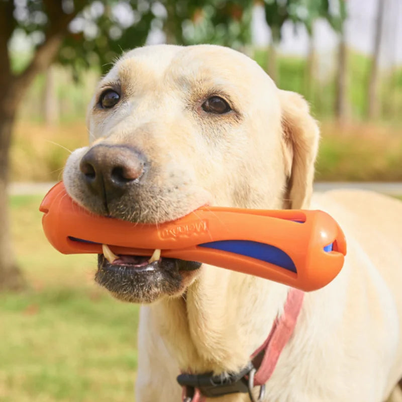Floating Dog Water Stick Toy