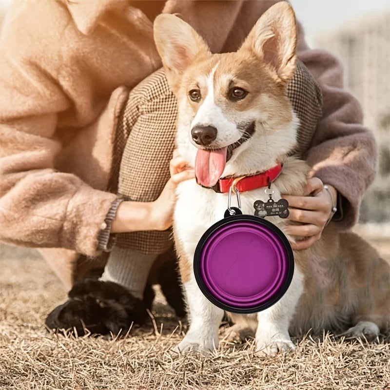 Portable Foldable Pet Food & Water Bowl