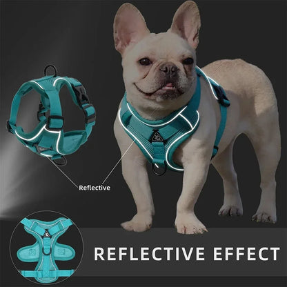 Dog Harness & Leash Set