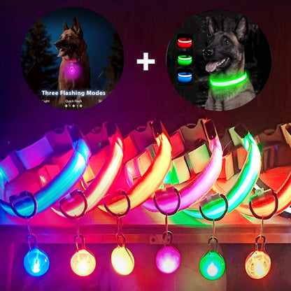 USB Rechargeable LED Dog Collar with Detachable Pendant – Luminous Safety Collar for Dogs & Cats