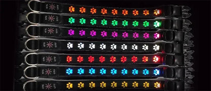LED Light-Up Dog Collar & Leash Set
