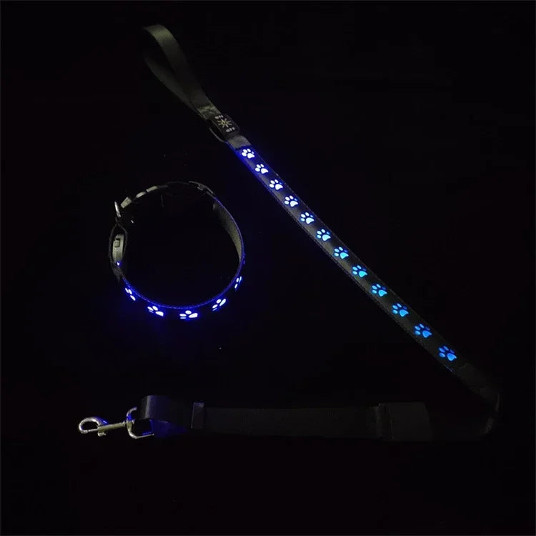 LED Light-Up Dog Collar & Leash Set