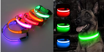 USB Rechargeable LED Dog Collar with Detachable Pendant – Luminous Safety Collar for Dogs & Cats