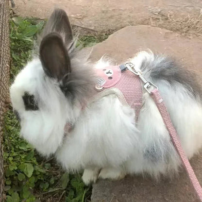 Cute Handmade Rabbit Harness Set