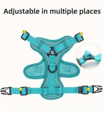 Dog Harness & Leash Set
