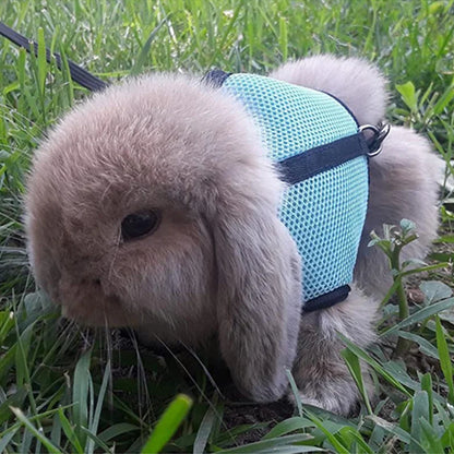 Rabbit Harness & Leash Set – Adjustable Walking Vest for Bunnies