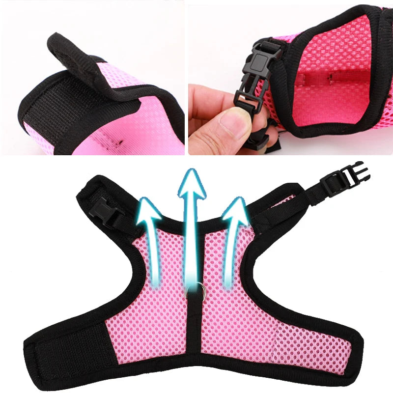 Rabbit Harness & Leash Set – Adjustable Walking Vest for Bunnies
