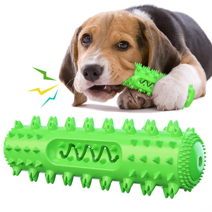 Squeaky Dog Chew Toy – Molar Stick Dental Cleaning & Treat Dispensing Toy