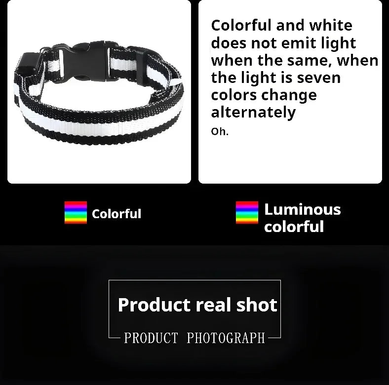 LED Night Safety Dog Collar