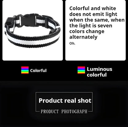 LED Night Safety Dog Collar