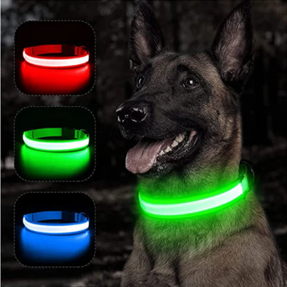 USB Rechargeable LED Dog Collar with Detachable Pendant – Luminous Safety Collar for Dogs & Cats