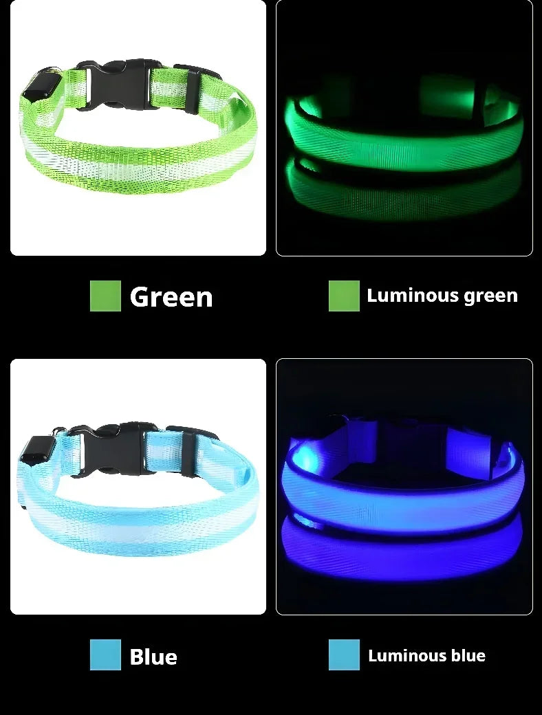 LED Night Safety Dog Collar