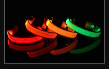 LED Night Safety Dog Collar