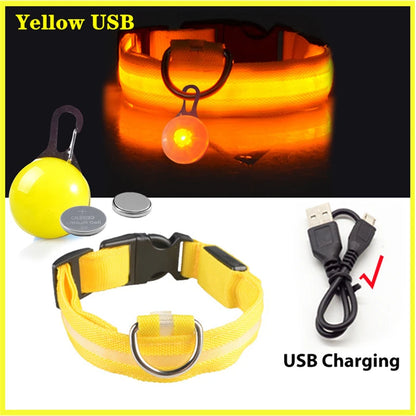 USB Rechargeable LED Dog Collar with Detachable Pendant – Luminous Safety Collar for Dogs & Cats